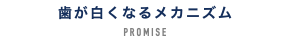 歯が白くなるメカニズム PROMISE